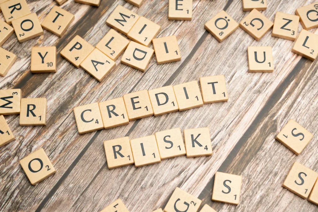 Credit risk plays a large part in why many merchants with bad credit are refused by traditional banks.